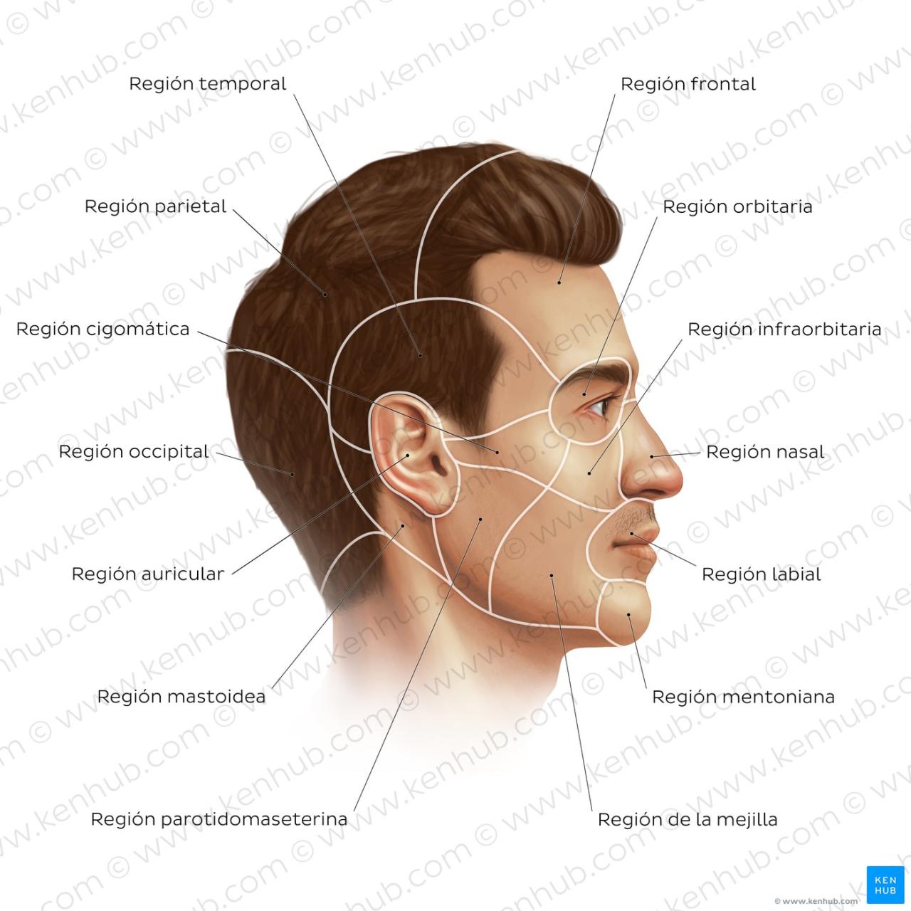 Cara Elak Ingrown Hair Selepas Cukur: 10 Tips Menghadapi Kemebanterangan yang Tidak Dicipta
